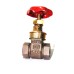 GM Gate Valve Forged Gun Metal Screwed ISI Marked